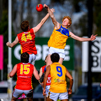 WGFNL V EGFNL