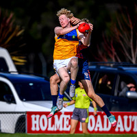 20260701 EDFNL V EGFNL-20