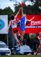 20260701 GL V NGFNL-1