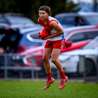 20260701 GL V NGFNL-9