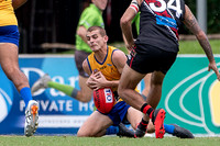 20210116 MPL-6.jpg