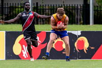 20210116 MPL-12.jpg