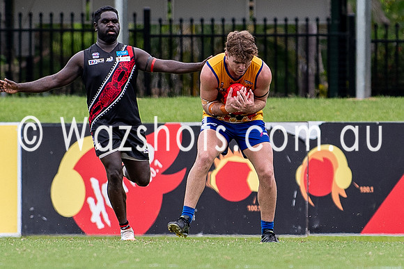 20210116 MPL-12.jpg