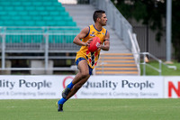 20210116 MPL-5.jpg