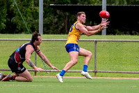 20210116 MPL-17.jpg