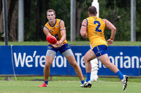 20210116 MPL-11.jpg
