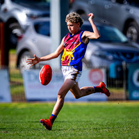 RD15 Sale v Moe 18s-18