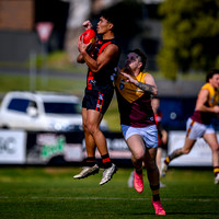 20260815 Maffra v Drouin Reserves-2