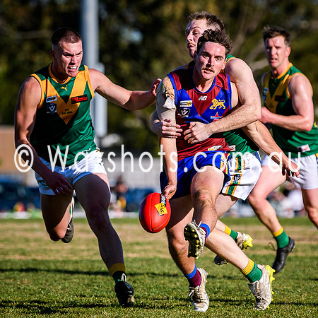 20260919 Grand Final Moe v Leongatha Snrs-66