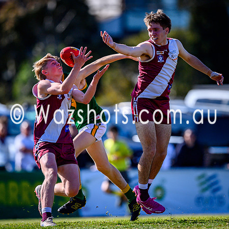 20260919 Grand Final Traralgon v Leongatha 16s-58