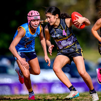 AFL V/Line Cup