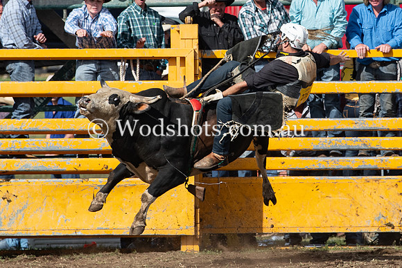 2020 QBN Rodeo-10.jpg