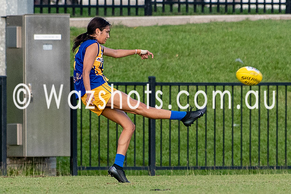 20201017 WPL v Tigers-2.jpg