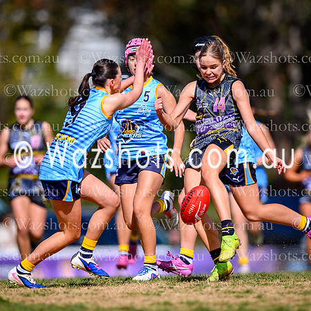 20260919 V-Line Cup-1