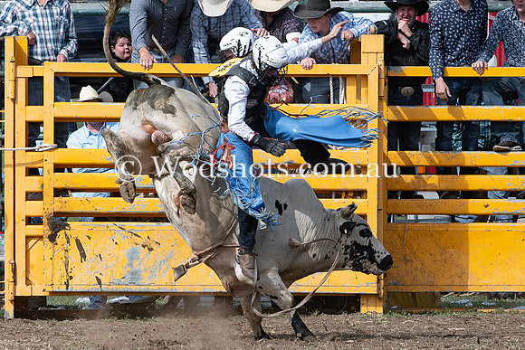 2020 QBN Rodeo-2.jpg