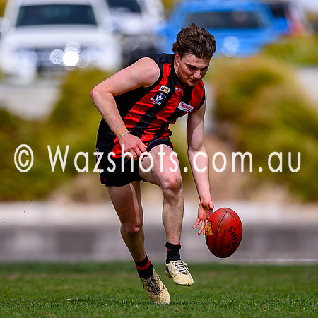 20240908 1st SF Sale v Maffra Reserves-68