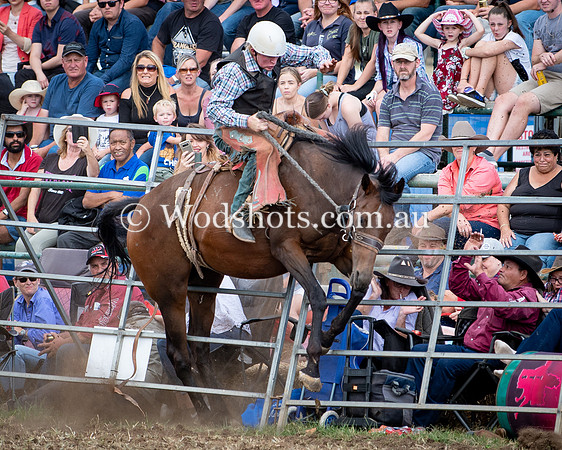 2019 QBN Rodeo-4.jpg