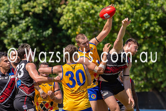 20201107 MPL v TIWI-9.jpg