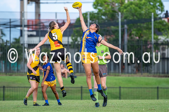 20201017 WPL v Tigers-18.jpg