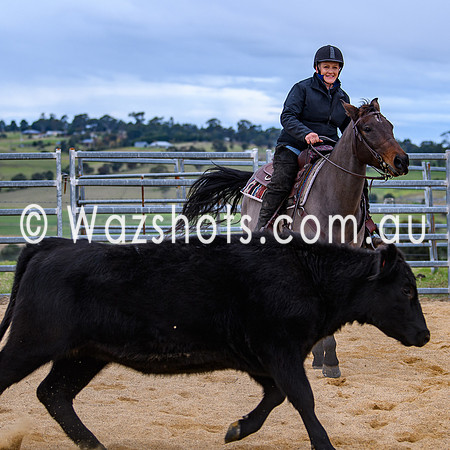 20240519 Calulu Creek Team Penning-13
