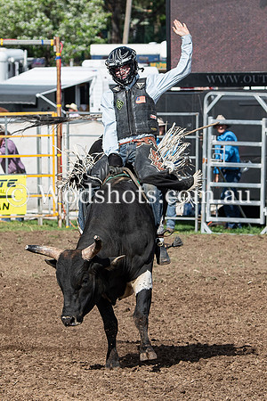 2020 QBN Rodeo-6.jpg