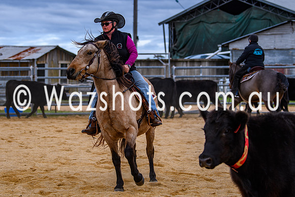 20240519 Calulu Creek Team Penning-15