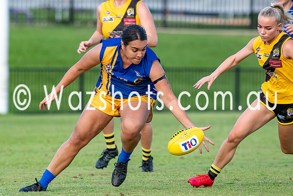 20201017 WPL v Tigers-11.jpg