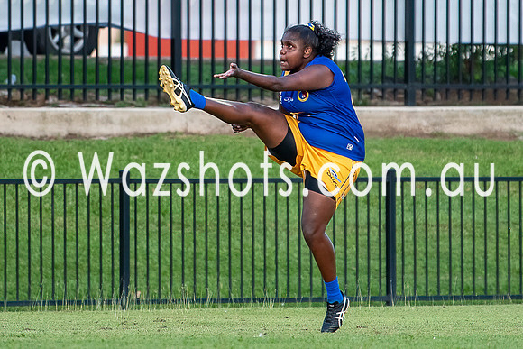 20201017 WPL v Tigers-23.jpg