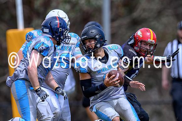 20231014 Wolves V Centurions-8