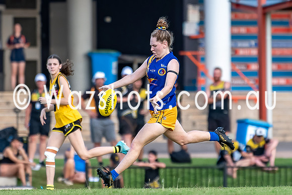 20201017 WPL v Tigers-16.jpg
