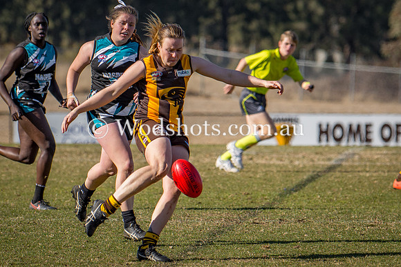 D72_1763.jpg