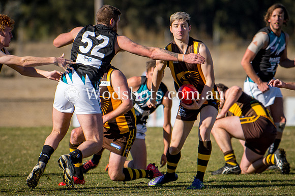 20180623 2nds V Belco-5.jpg