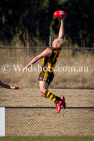20180623 2nds V Belco-8.jpg