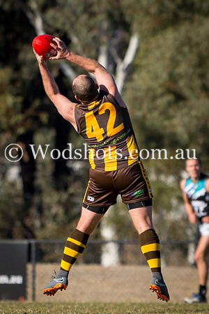 20180623 2nds V Belco-10.jpg