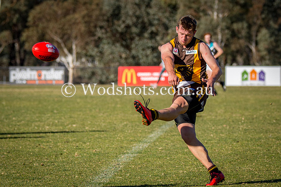 20180623 2nds V Belco-17.jpg