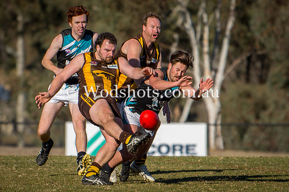 20180623 2nds V Belco-21.jpg