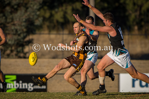 20180623 Firsts V Belco-4.jpg