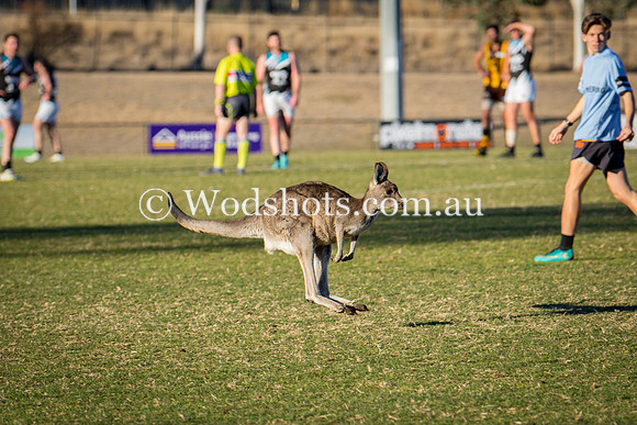 20180623 Firsts V Belco-6.jpg