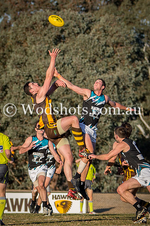 20180623 Firsts V Belco-7.jpg