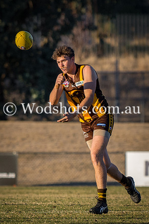 20180623 Firsts V Belco-12.jpg