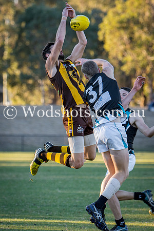 20180623 Firsts V Belco-14.jpg