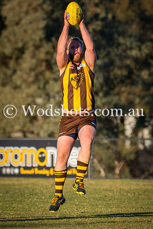 20180623 Firsts V Belco-15.jpg