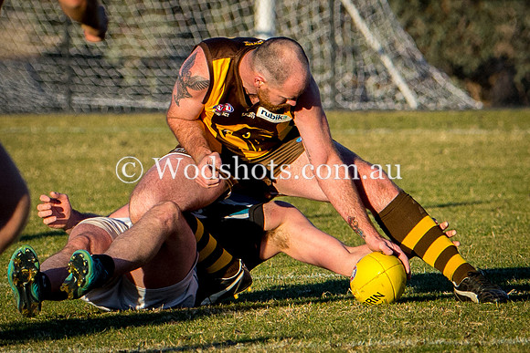 20180623 Firsts V Belco-17.jpg
