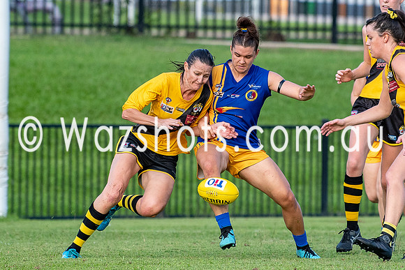 20201017 WPL v Tigers-9.jpg