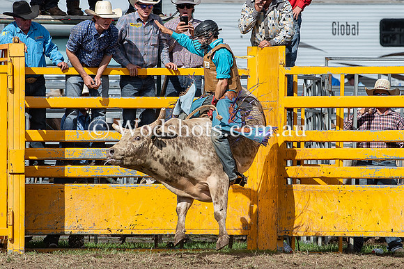 2020 QBN Rodeo-7.jpg
