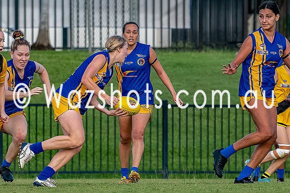 20201017 WPL v Tigers-6.jpg