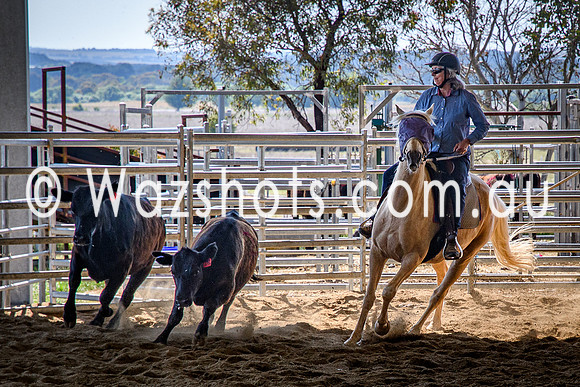 20231112 Amerigo Campdraft-1