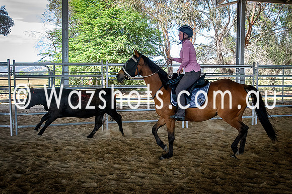 20231112 Amerigo Campdraft-5