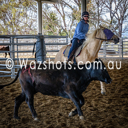 20231112 Amerigo Campdraft-2