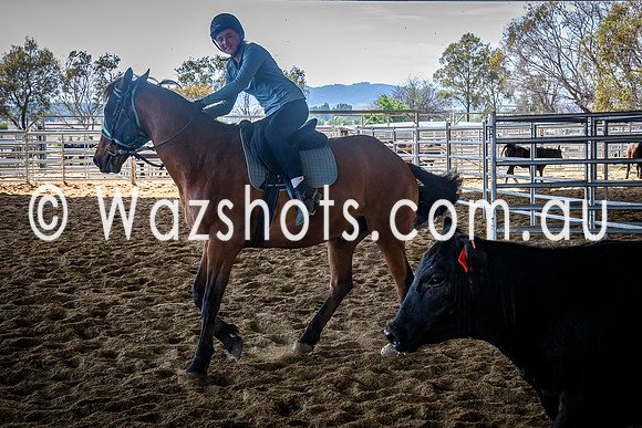 20231112 Amerigo Campdraft-3